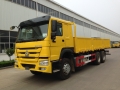 SINOTRUK HOWO Heavy Duty 10 Wheeler Cargo Truck