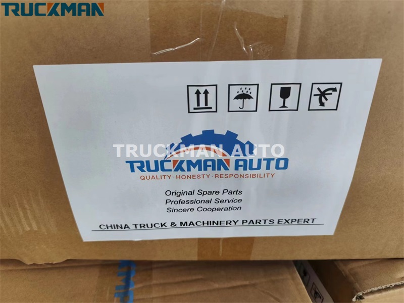 HOWO NX Truck Head