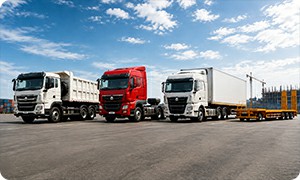 Heavy duty trucks dump trucks and trailers supplied by TRUCKMAN