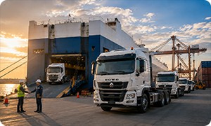 Global truck delivery and after sales support service