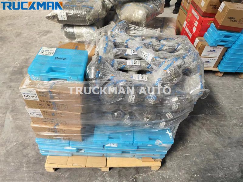 FOTON Pickup Truck