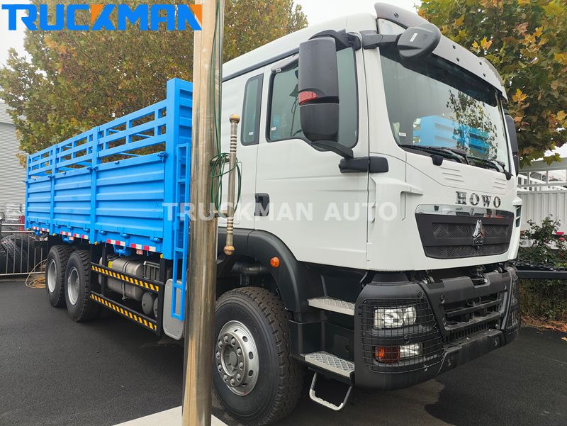 HOWO TX Cargo Truck