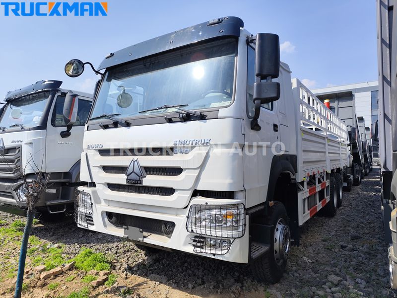 SINOTRUK HOWO Cargo Truck