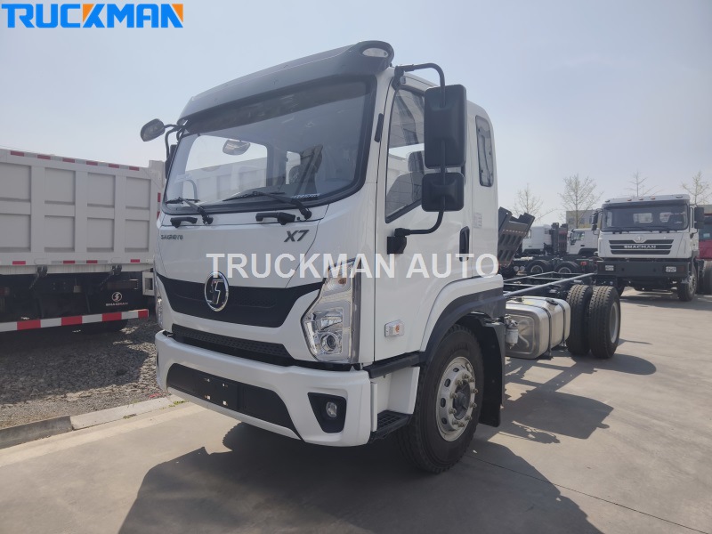 SHACMAN Cargo Truck factory