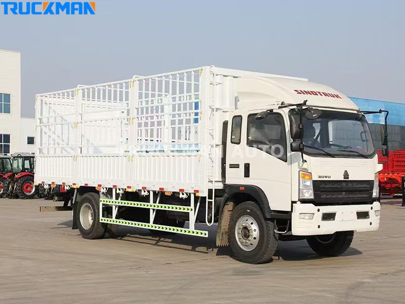 HOWO 4X2 Light Truck