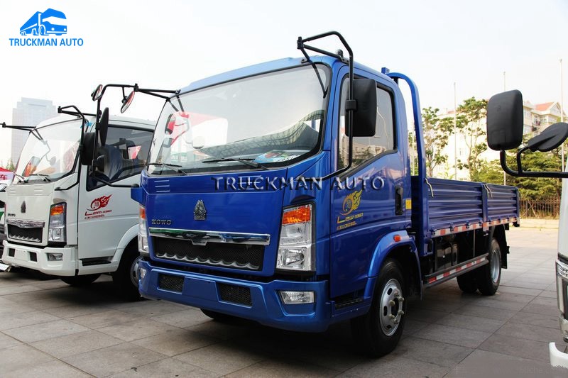 10 Tons SINOTRUCK Cargo Truck With One Bed Cabin