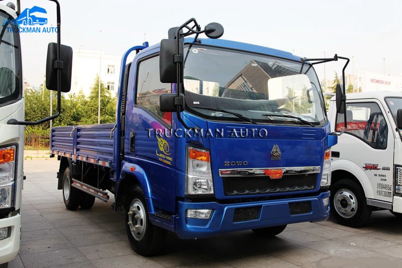 10 Tons SINOTRUCK Cargo Truck With One Bed Cabin
